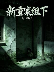 新重案组下